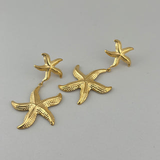 Chici estrella de mar